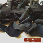 Rose Petals - Black velvet