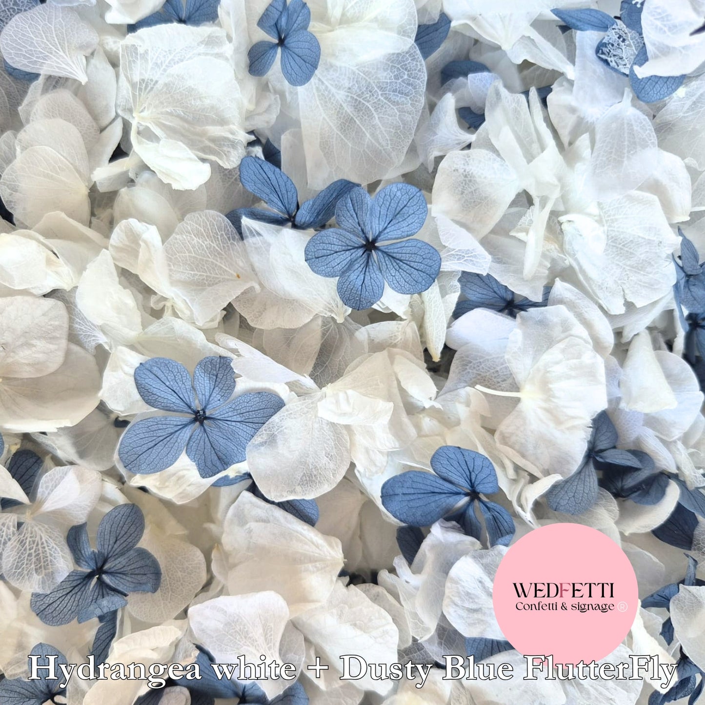 Petal Confetti hydrangea - Dusty Blue FlutterFly + White Hydrangea
