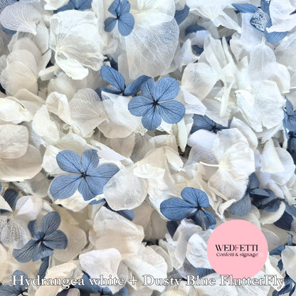 Petal Confetti hydrangea - Dusty Blue FlutterFly + White Hydrangea