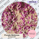 Petal Confetti Purple Globosa