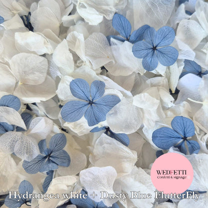 Petal Confetti hydrangea - Dusty Blue FlutterFly + White Hydrangea