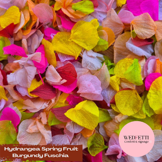 Petal Confetti hydrangea - Spring Fruit Burgundy Fuschia