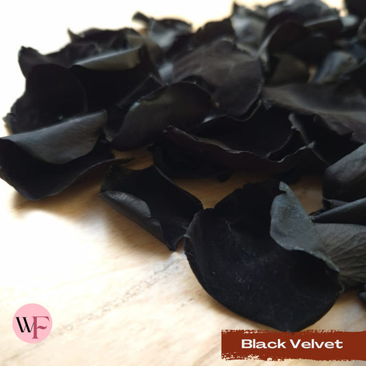 Rose Petals - Black velvet