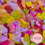 Petal Confetti hydrangea - Spring Fruit Burgundy Fuschia