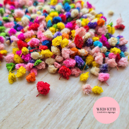 Rainbow Buds® Confetti