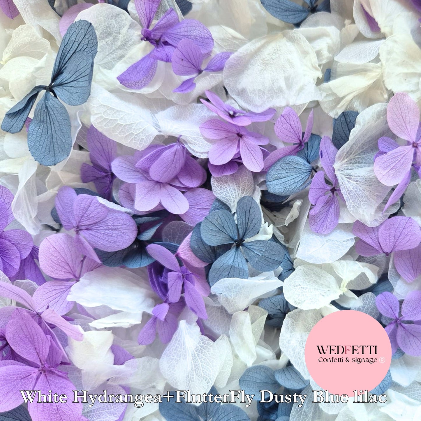 Petal Confetti hydrangea - Lilac,Dusty Blue FlutterFly + White Hydrangea