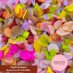 Petal Confetti hydrangea - Autumn Fruit Mix