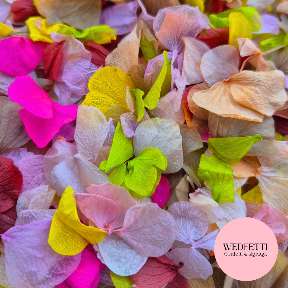 Petal Confetti hydrangea - Autumn Fruit Mix