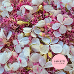 FlutterFly + Pink Cornflower & Jasmine Mix