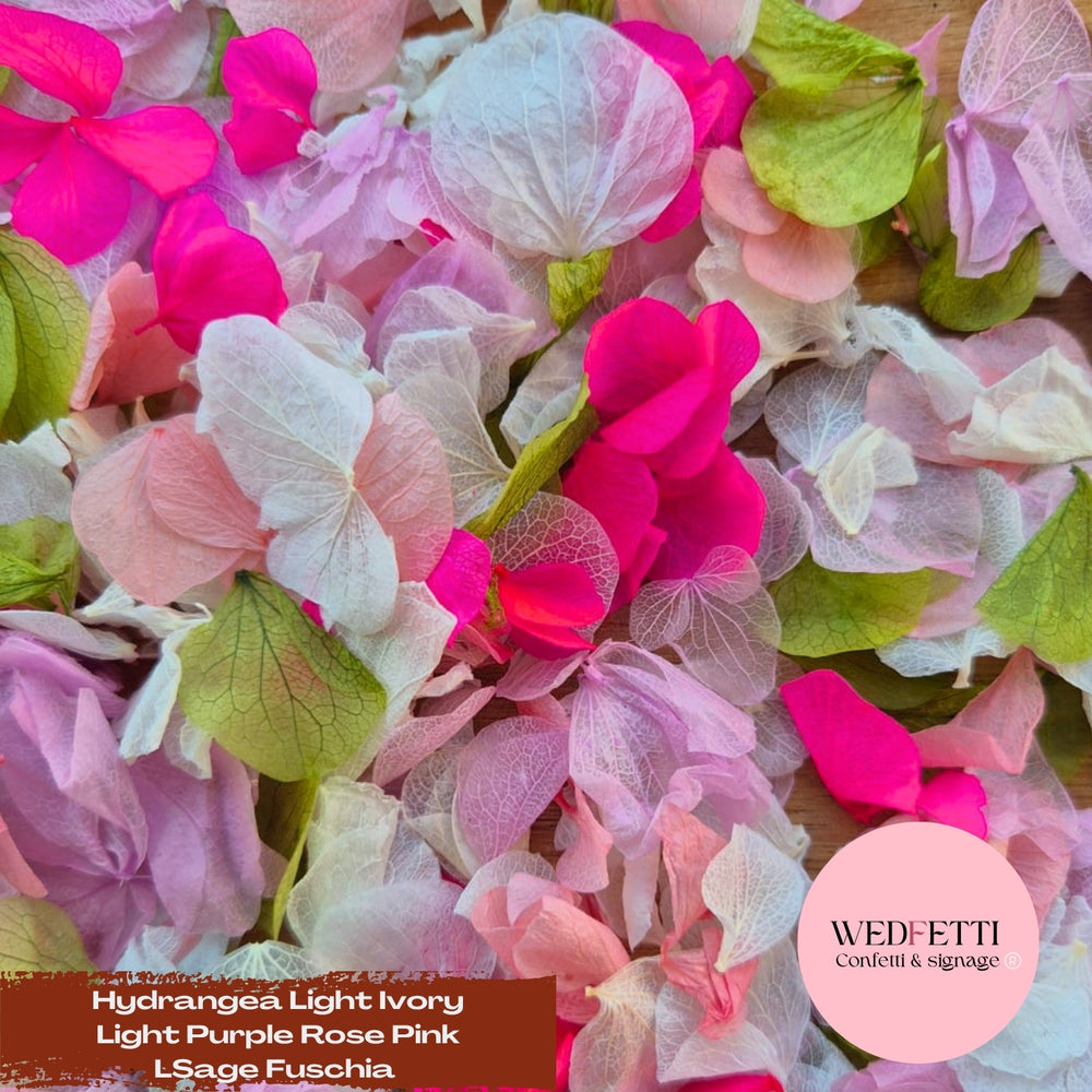 Petal Confetti hydrangea - Light Ivory L Purple Rose Pink L Sage Fuschia