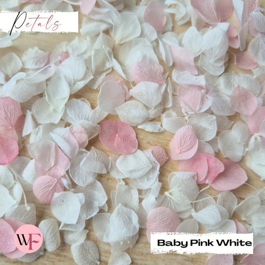 Snow Petal Confetti® - Baby Pink White
