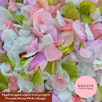 Petal Confetti hydrangea - Light Ivory L Purple Rose Pink L Sage