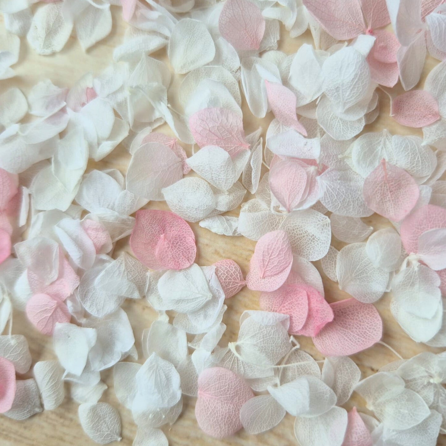 Snow Petal Confetti® - Baby Pink White