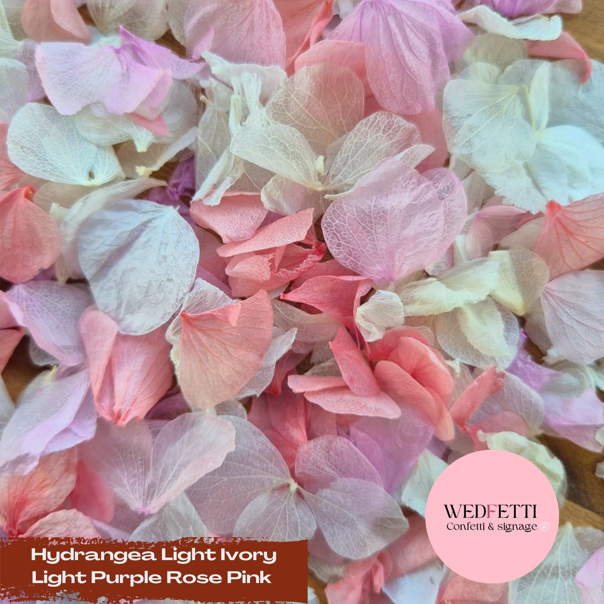 Petal Confetti hydrangea - Light Ivory Light Purple Rose Pink