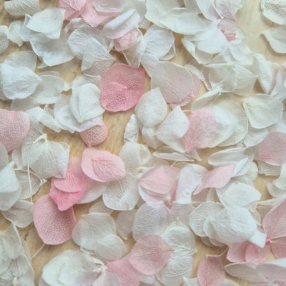Snow Petal Confetti® - Baby Pink White