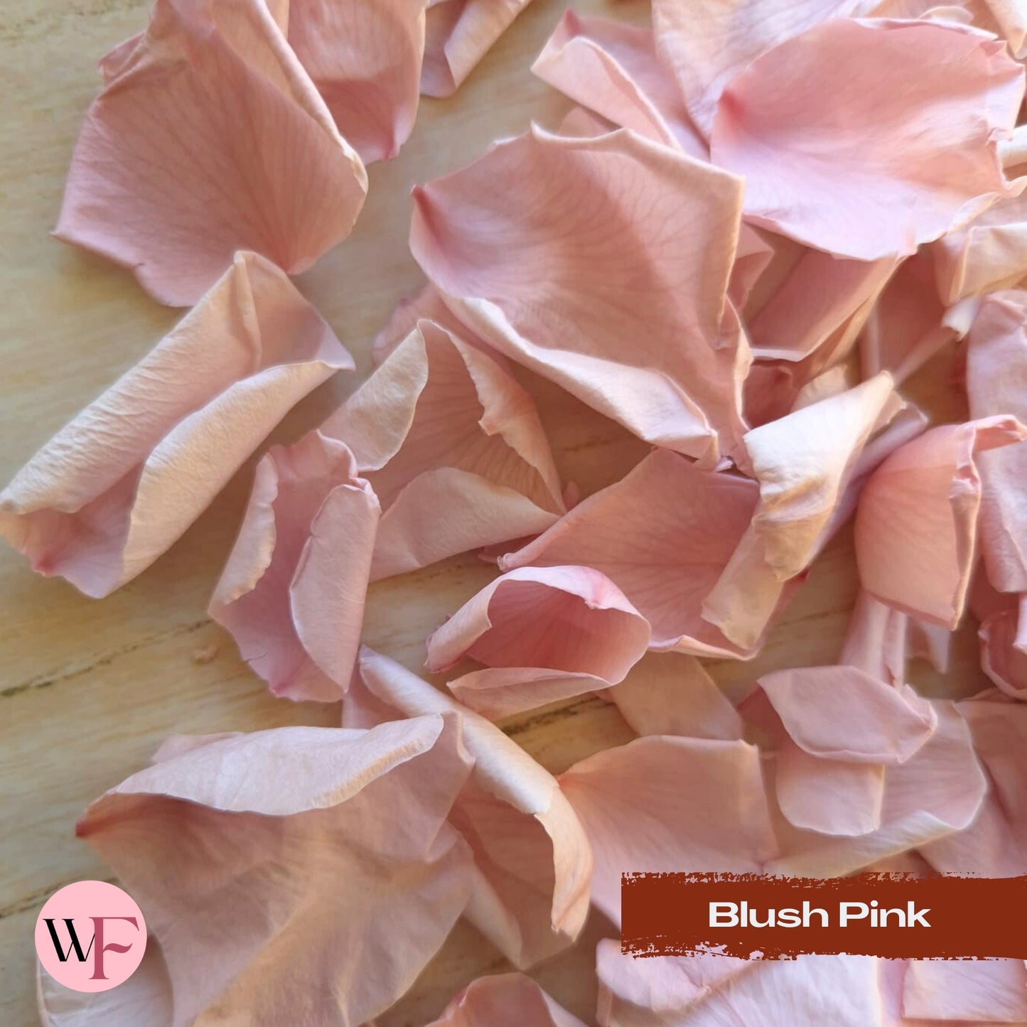 Rose Petals - Blush Pink
