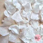 Wedding White hydrangea PETALS