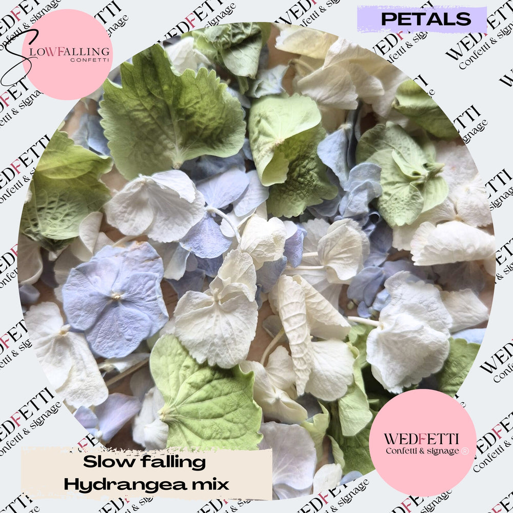 SLOW FALLING PETALS hydrangea petal premium mix