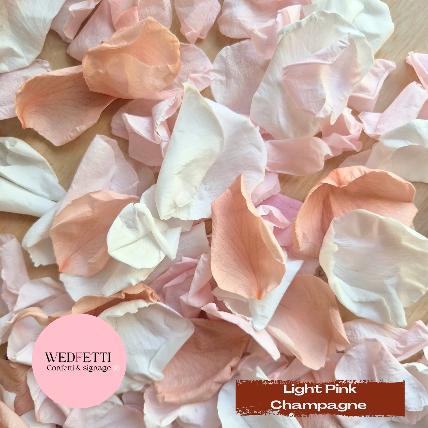 Rose Petals - Light Pink Champagne
