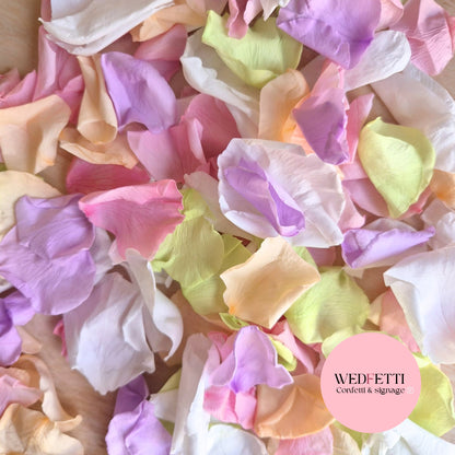 Rose Petals - Soft Pastel White