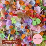 Petal Confetti hydrangea - Autumn Party Mix Orange Red