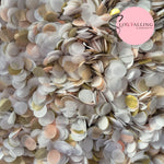 Slow falling paper Confetti - Champagne Blush