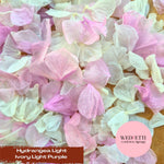 Petal Confetti hydrangea - Light Ivory Light Purple
