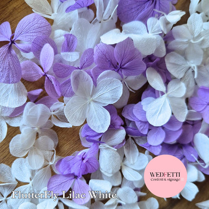 FlutterFly Petals - Lilac White