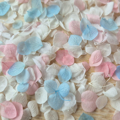 Snow Petal Confetti® - Classic Pastel