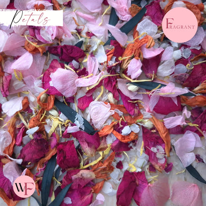 Petals - Pretty Pink Multi Mix