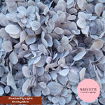 FlutterFly® Petal Confetti - Light Dusty Blue