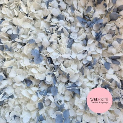 Light Ivory white & Dusty Blue Hydrangea petals
