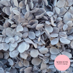 FlutterFly® Petal Confetti - Light Dusty Blue