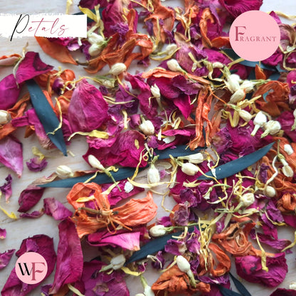 Petals - Lily Rose Eucalyptus Mix
