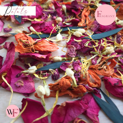 Petals - Lily Rose Eucalyptus Mix