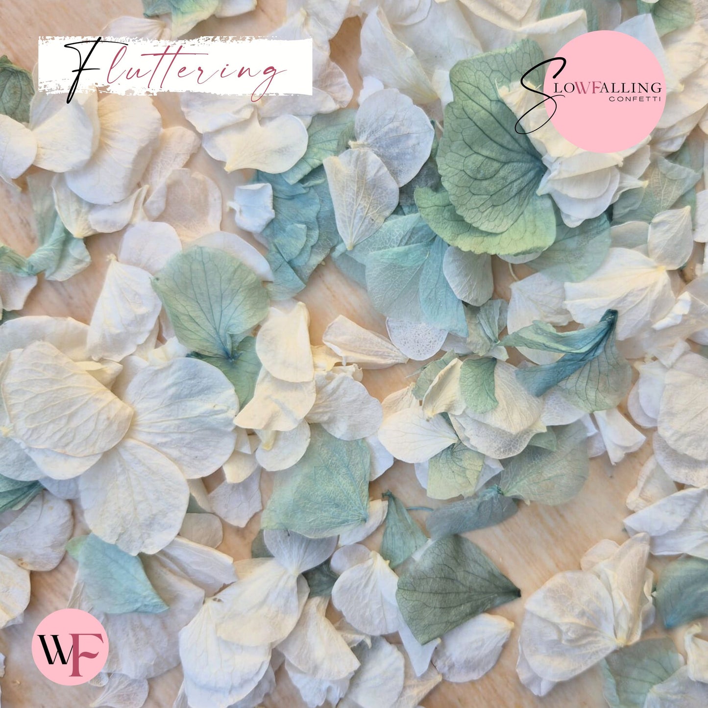 Petal Confetti hydrangea - Turquoise White