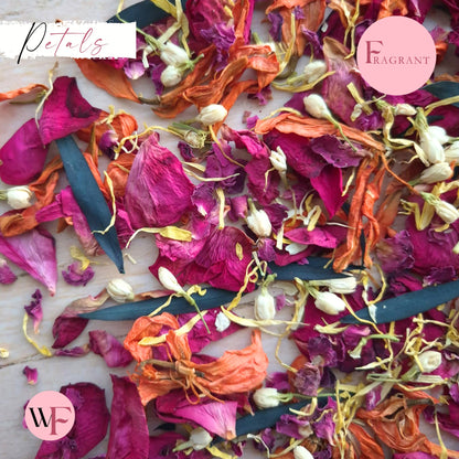 Petals - Lily Rose Eucalyptus Mix