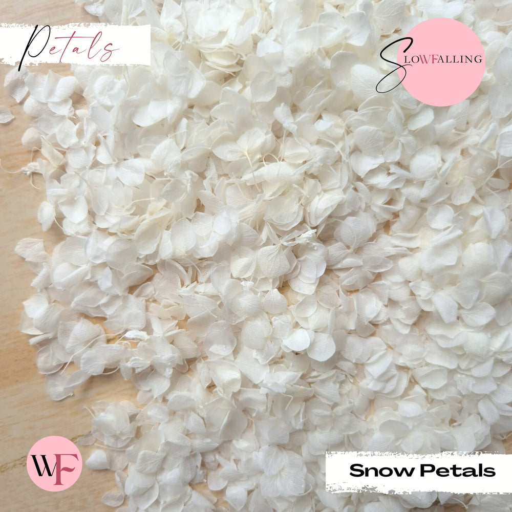 Snow Petal Confetti® - Snow Petals - White