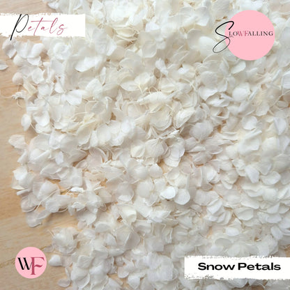 Snow Petal Confetti® - Snow Petals - White