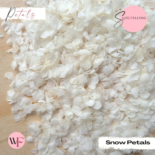 Snow Petal Confetti® - Snow Petals - White
