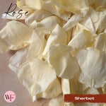 Rose Petals - Sherbet