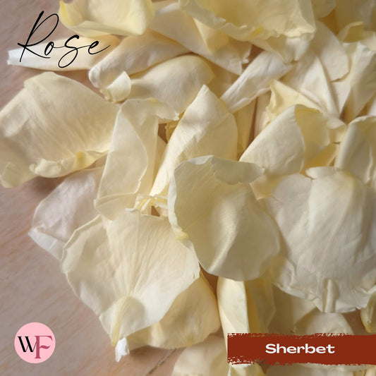 Rose Petals - Sherbet