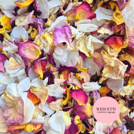 Multi Colour mixed petal + white Wedfetti Norfolk mix