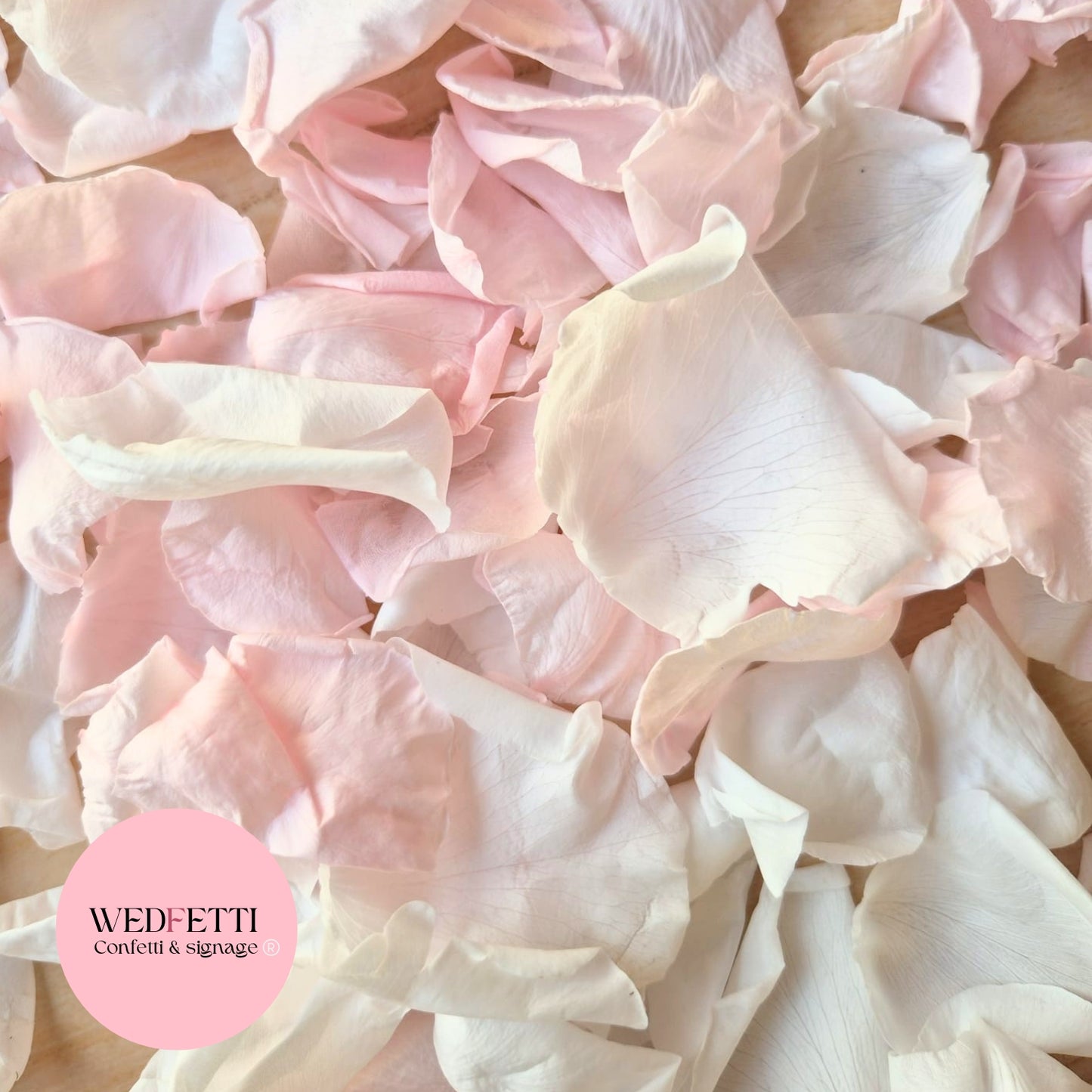 Rose Petals - Light Pink White