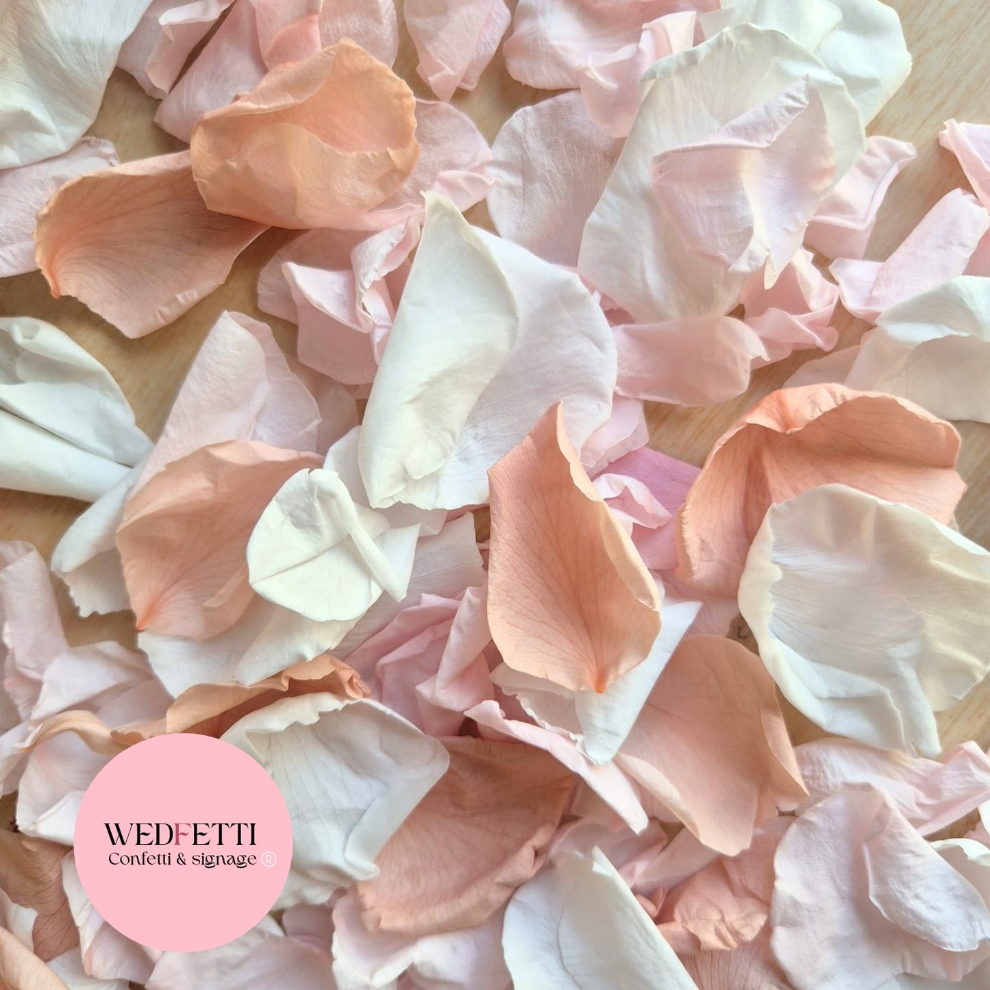 Rose Petals - Light Pink Champagne