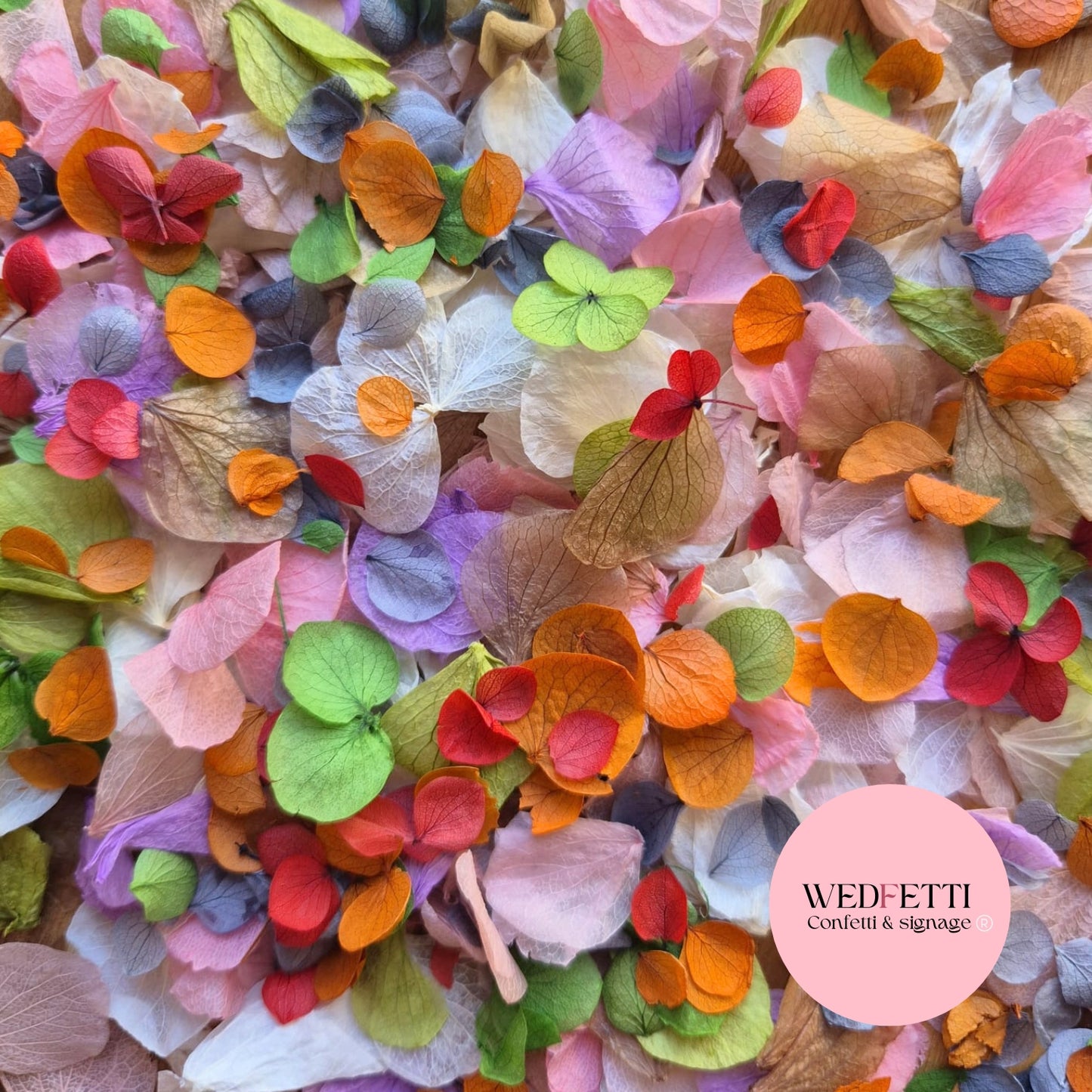 Petal Confetti hydrangea - Autumn Party Mix Orange Red