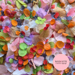Petal Confetti hydrangea - Autumn Party Mix Orange Red
