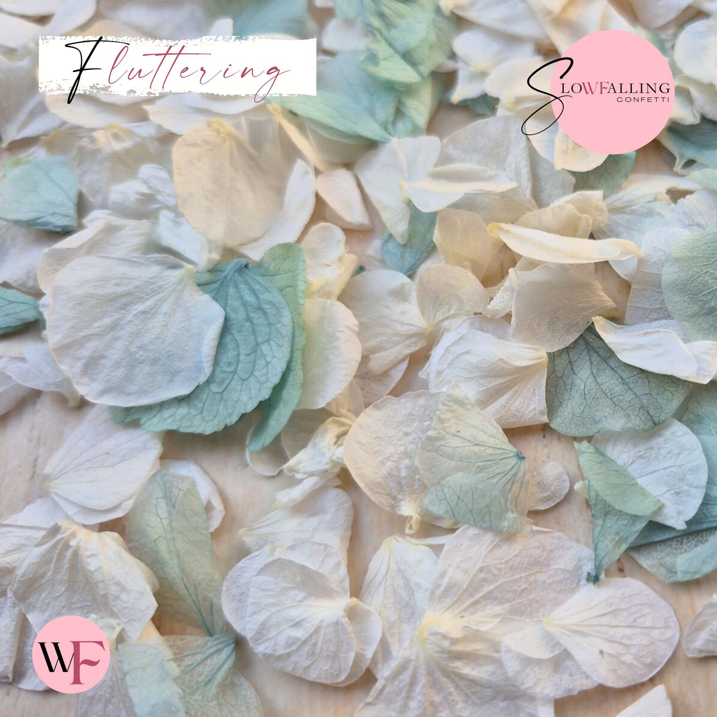 Petal Confetti hydrangea - Turquoise White