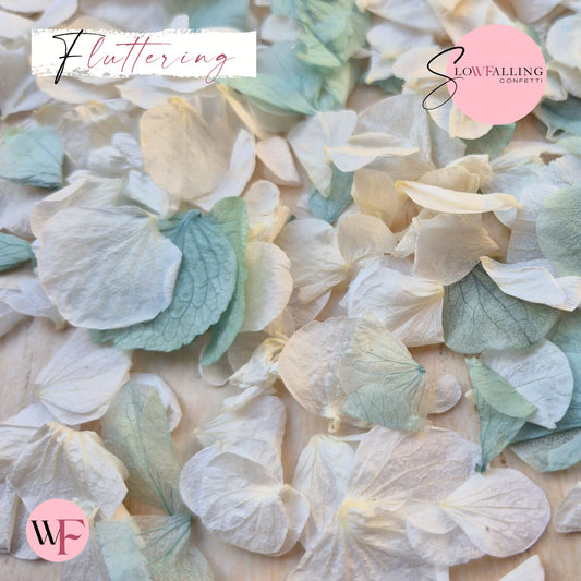 Petal Confetti hydrangea - Turquoise White