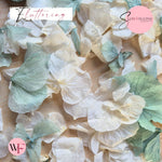 Petal Confetti hydrangea - Turquoise White